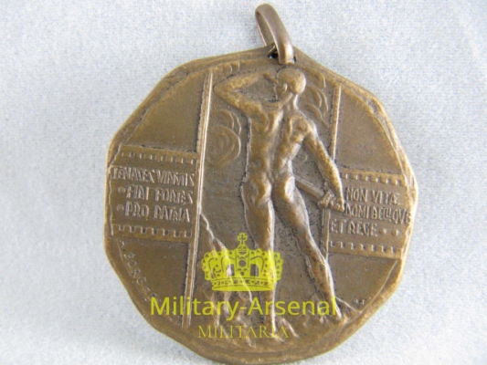 Legione Reali Carabinieri Bologna | Military Arsenal
