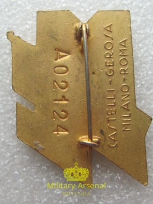 Distintivo Istruttore pre Militare | Military Arsenal