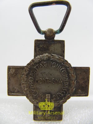 IV° Gruppo CC.NN Battaglione d'assalto | Military Arsenal