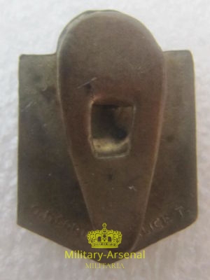 Distintivo Commemorativo Garibaldi 1882-1932 | Military Arsenal