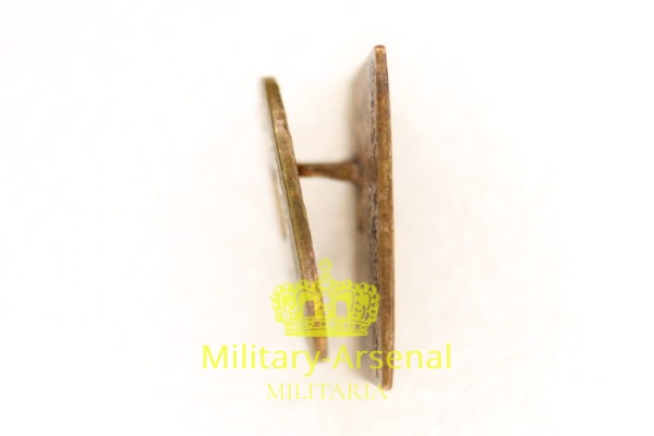 Distintivo fascista A.F.P.I. | Military Arsenal