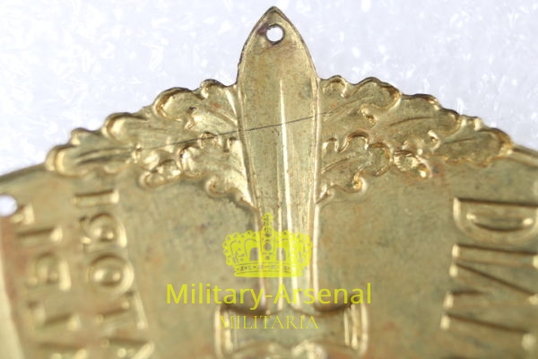 Scudetto da braccio 22^ Divisione "Cacciatori della Alpi" | Military Arsenal
