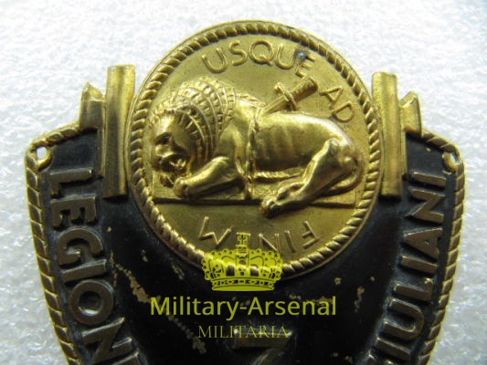 Legione Reginaldo Giuliani CC.NN Black Shirts | Military Arsenal