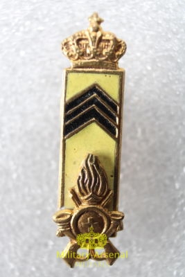 Regia Guardia di Finanza distintivo | Military Arsenal