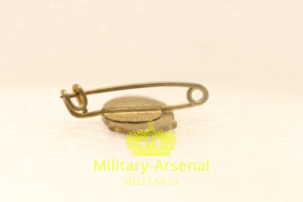 Distintivo PNF fascio primo tipo a spilla | Military Arsenal