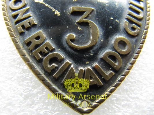 Legione Reginaldo Giuliani CC.NN Black Shirts | Military Arsenal