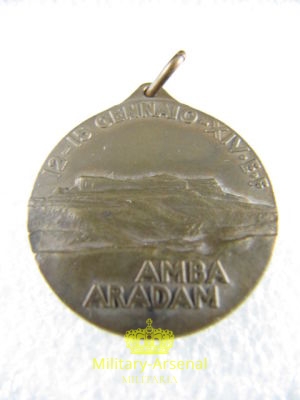 Regio Esercito Italiano Divisione Sila Amba Aradam | Military Arsenal