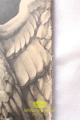 Libro Milizia Universitaria 1938 | Military Arsenal
