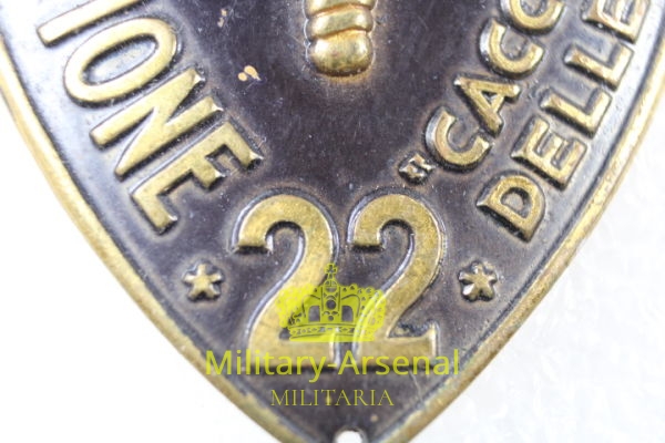 Scudetto da braccio 22^ Divisione "Cacciatori della Alpi" | Military Arsenal
