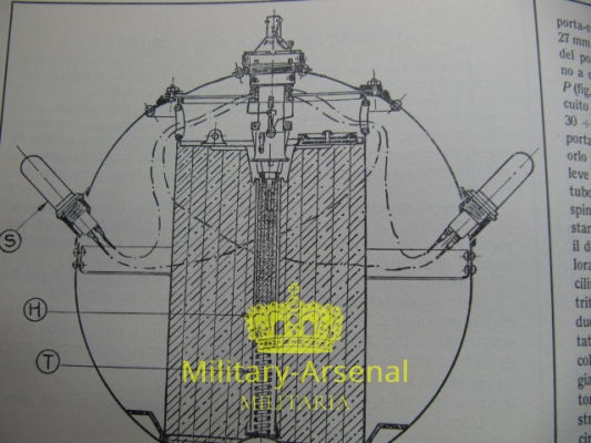 Regia Marina Torpedini | Military Arsenal