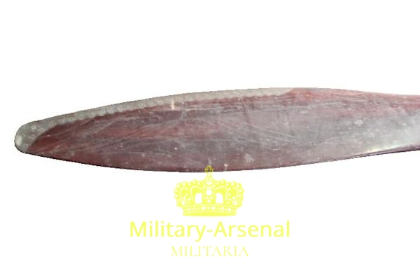 Regia Aeronautica Elica per Caproni CA 100 | Military Arsenal
