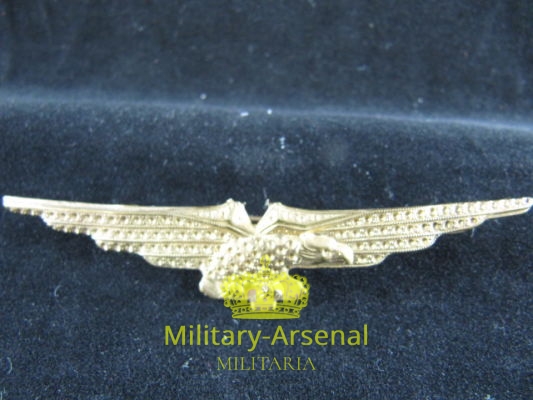Brevetto Pilota RSI Aeronautica Nazionale Repubblicana | Military Arsenal