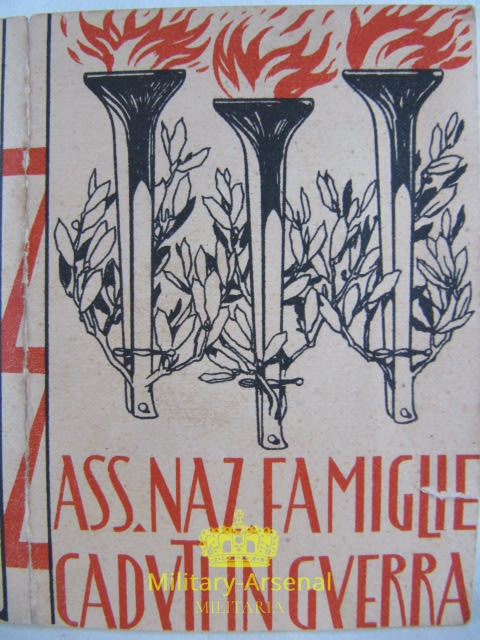 Immagine copertina