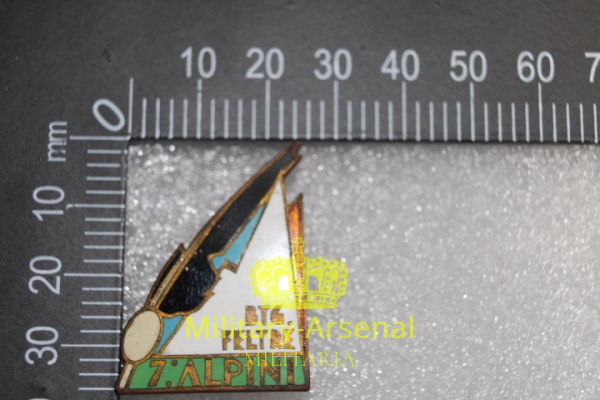 WWII battaglione alpini "FELTRE" distintivo. | Military Arsenal