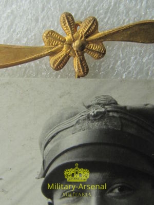 Corpo Aereonautico Italiano 1915 | Military Arsenal