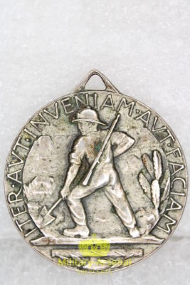 Medaglia Coloniale Centurie Lavoratori A.O.I. | Military Arsenal