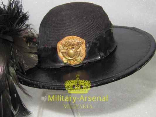 Vaira Bersaglieri | Military Arsenal