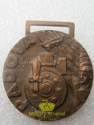 Medaglia Volontari del Littorio | Military Arsenal