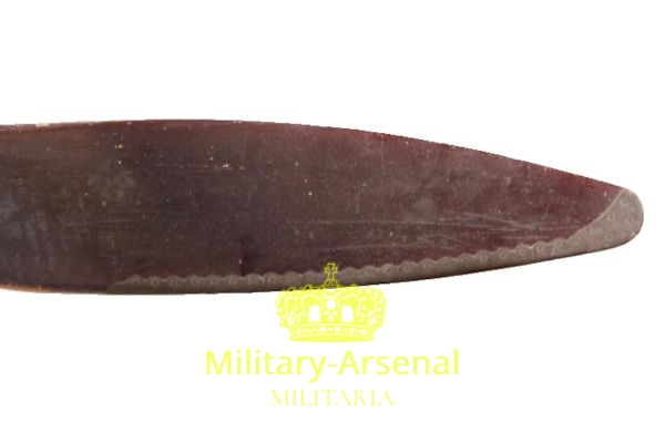 Regia Aeronautica Elica per Caproni CA 100 | Military Arsenal