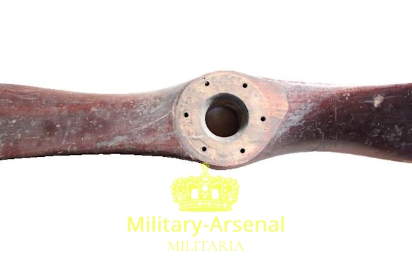 Regia Aeronautica Elica per Caproni CA 100 | Military Arsenal