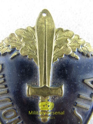 Regio Esercito Italiano Divisione Sila | Military Arsenal