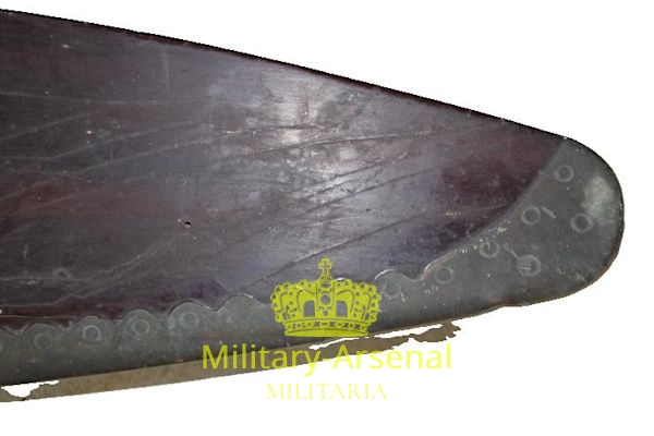 Regia Aeronautica Elica per Caproni CA 100 | Military Arsenal